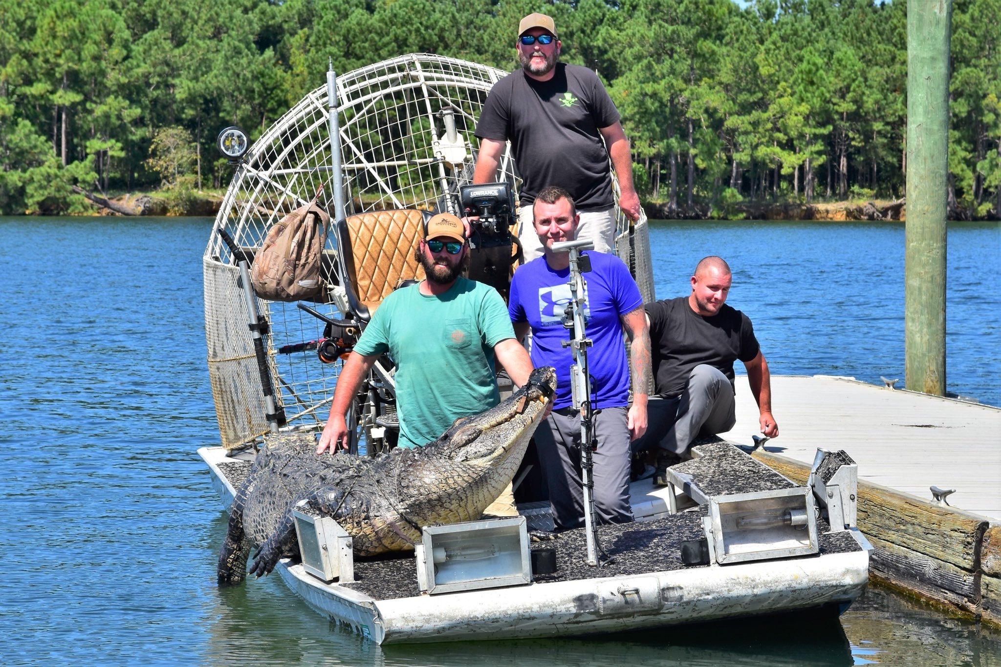 Santee hunt produces 778pound gator Carolina Sportsman