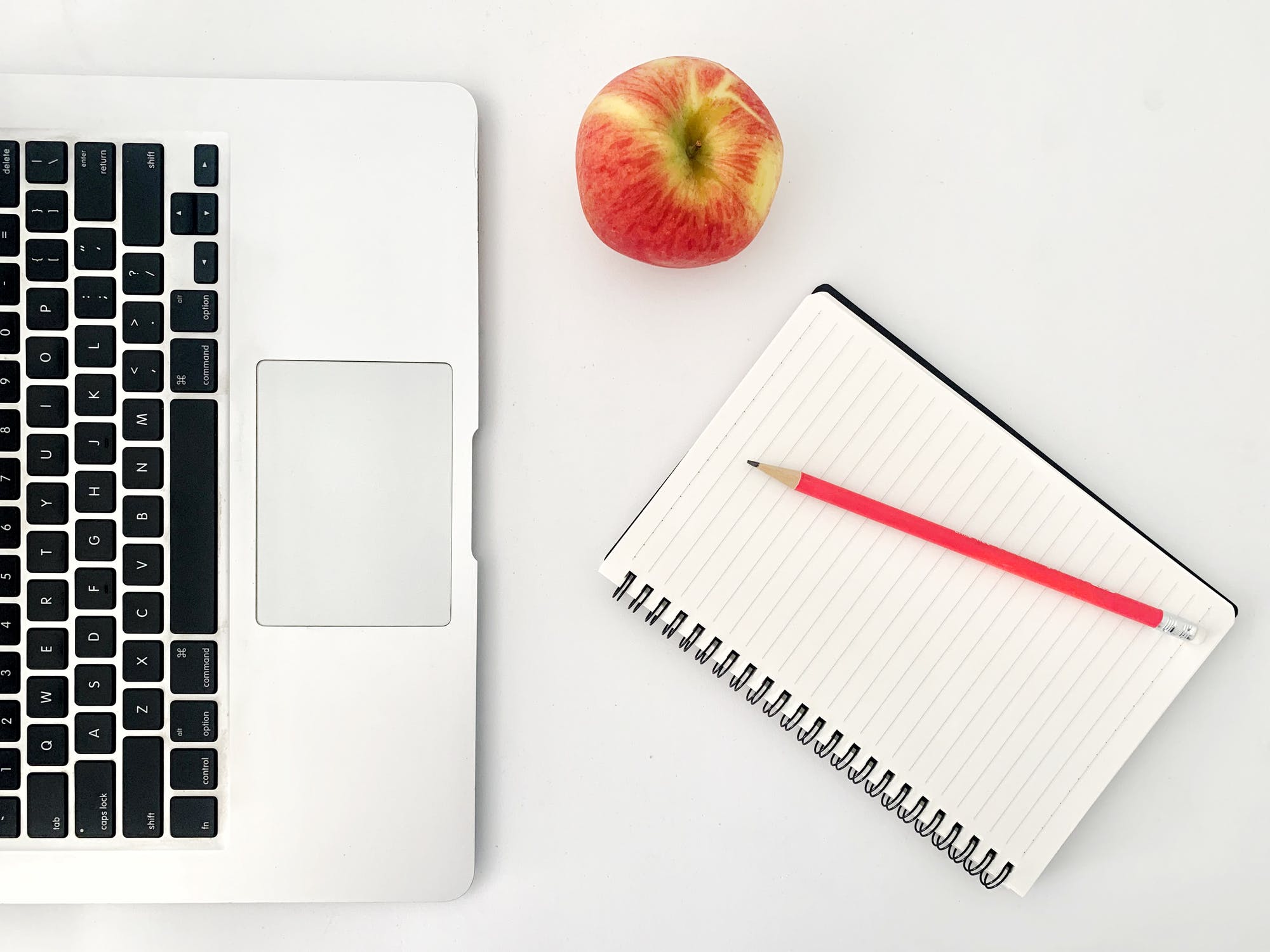 Payroll Processor Carpenter Box