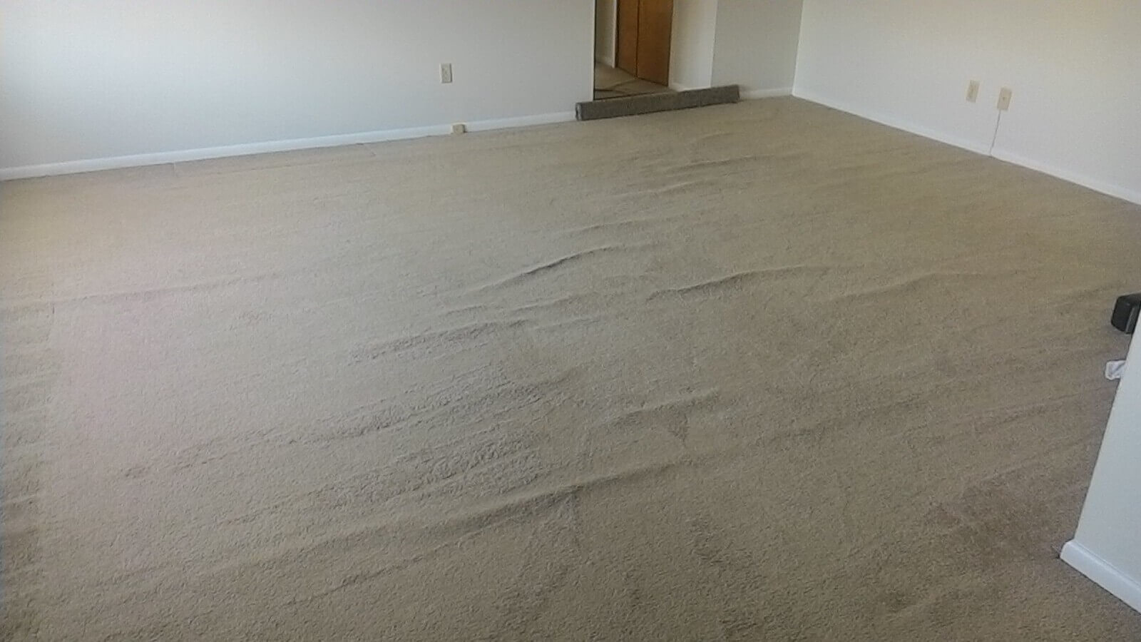 Carpet Advantage