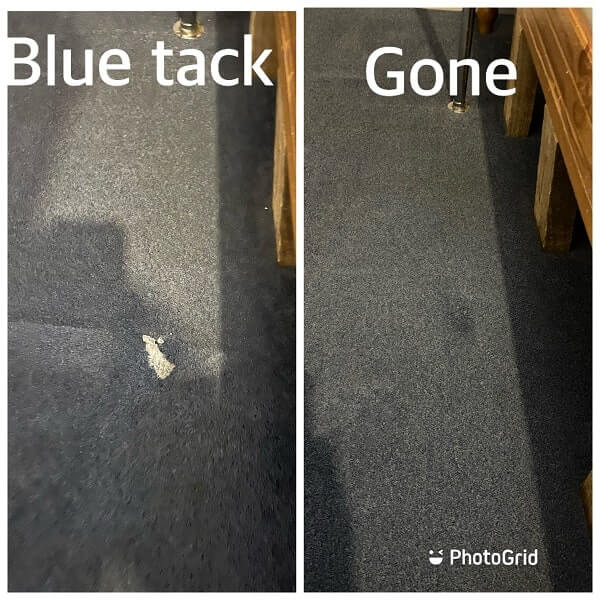 Carpet Cleaning in Kent Carpet Cleaning Services in Kent Carpet Bird