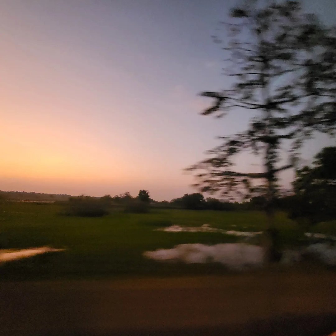 Carpet Cleaning Bayswater W2 20 000+ Positive Reviews