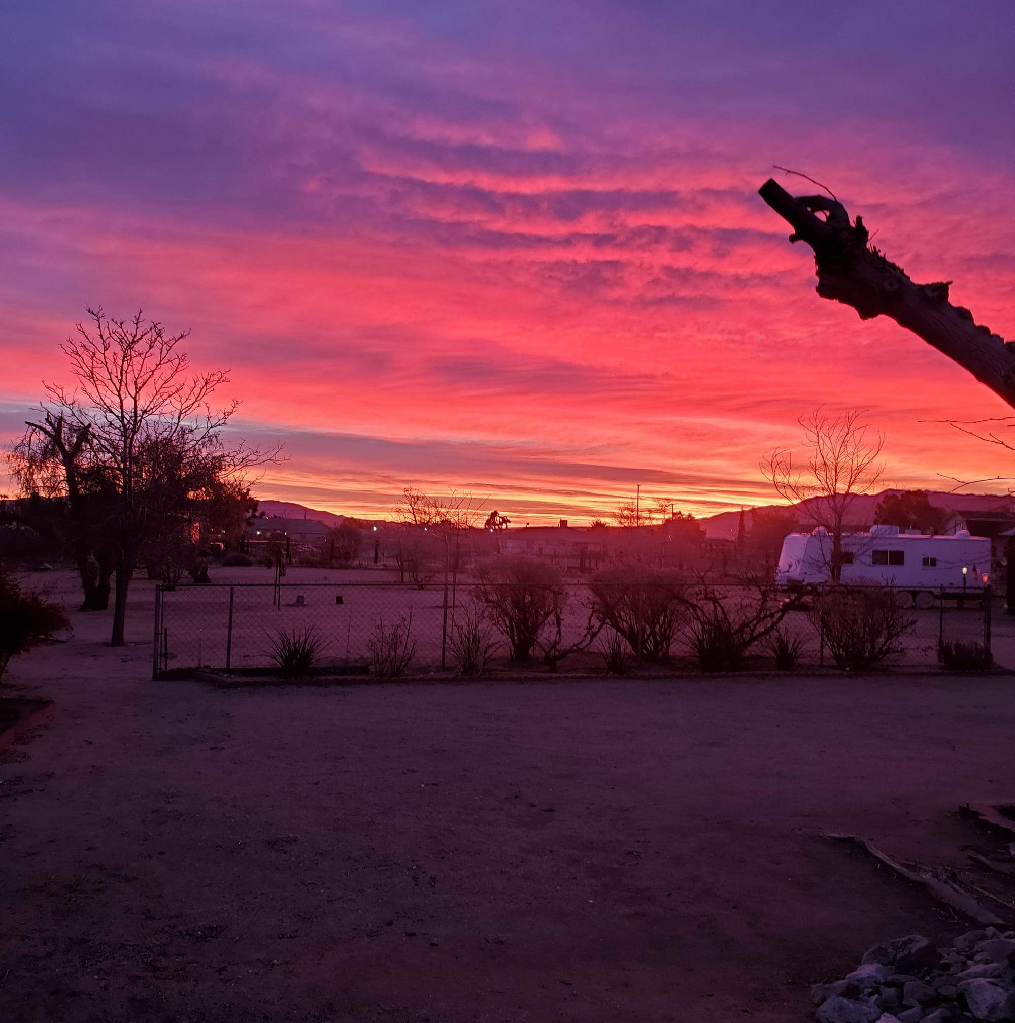 Carpet Cleaning Peckham SE15 20 000+ Positive Reviews