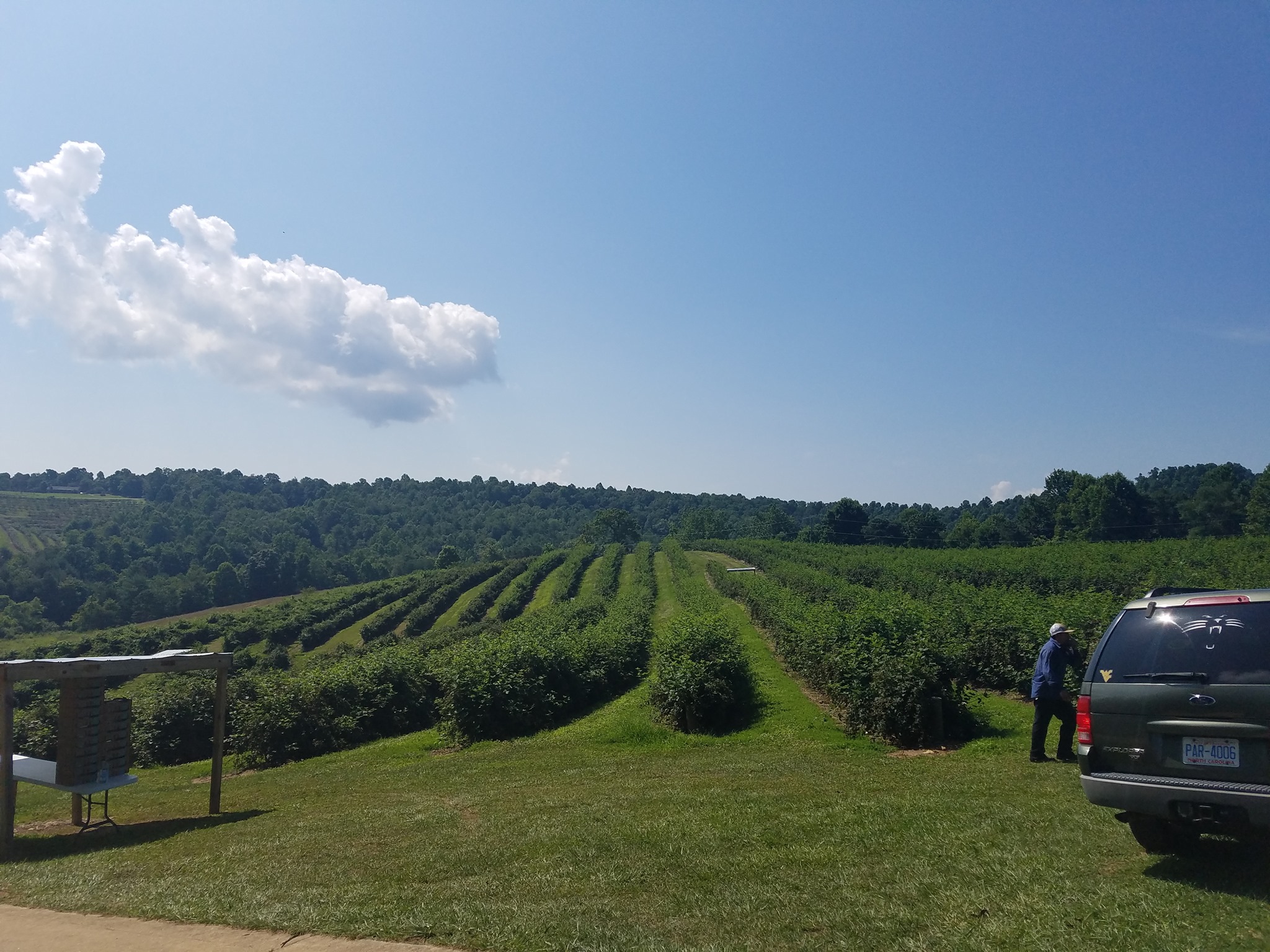 Carpet Cleaning Barnes SW13 20 000+ Positive Reviews