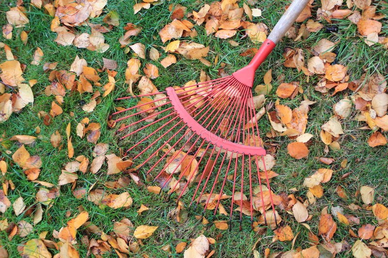 Carpet Cleaning STL Cheyenne event photographer, Lawn care contractor