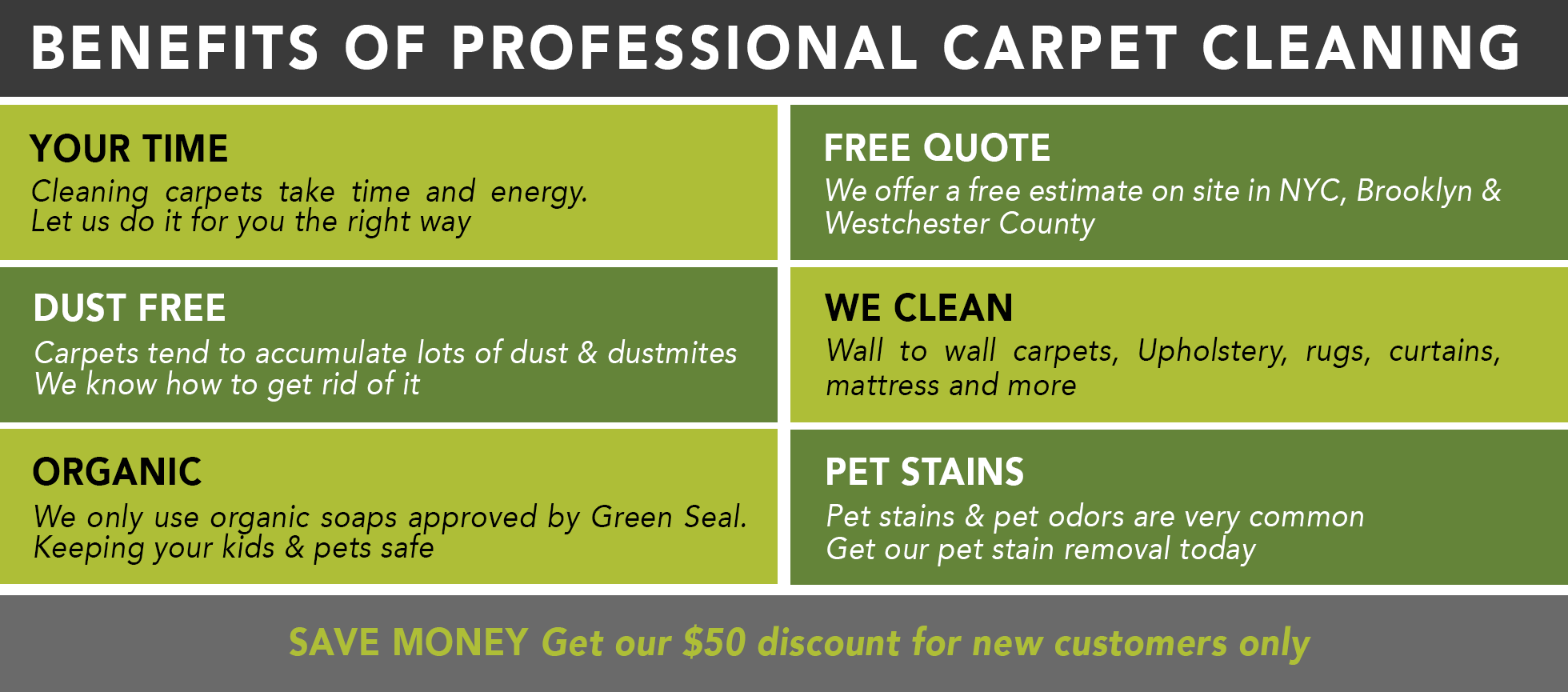 Organic Sofa Cleaning Nyc Baci Living Room