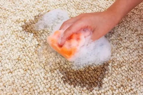 How to Remove Spots and Stains on Carpet? Carpet Cleaning