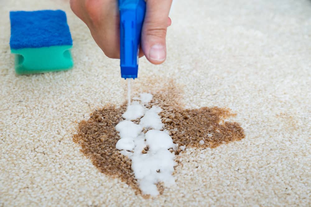 Spray To Keep Dogs From Peeing On Carpet KeepingDog