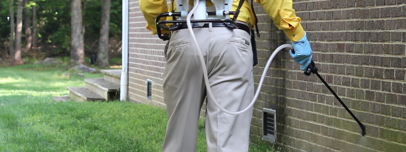 Carpet Cleaning And Pest Control Caboolture at Erica Pisani blog