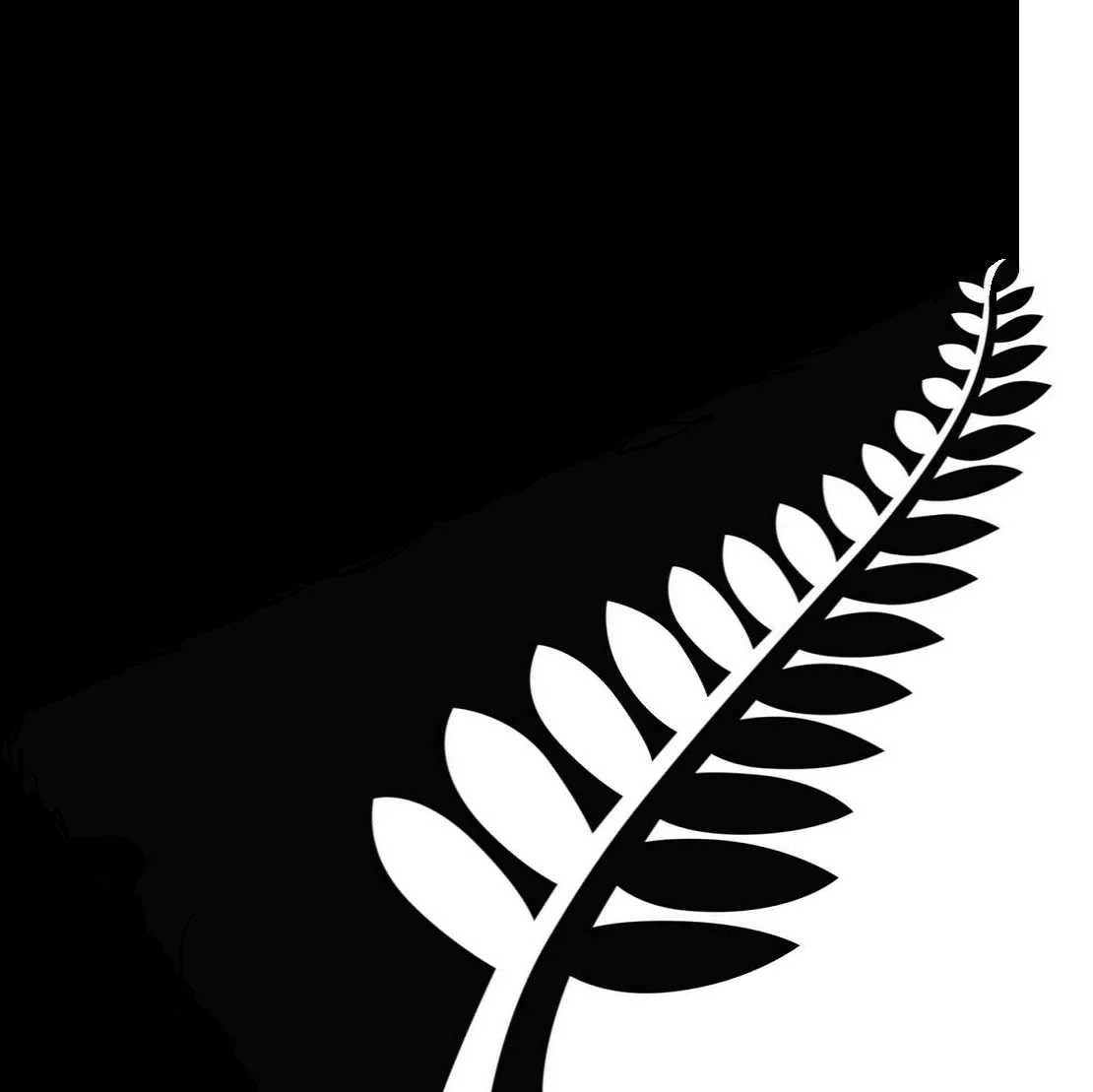 Carpet Pro Carpet Cleaning & Repairs The Wider Manawatu