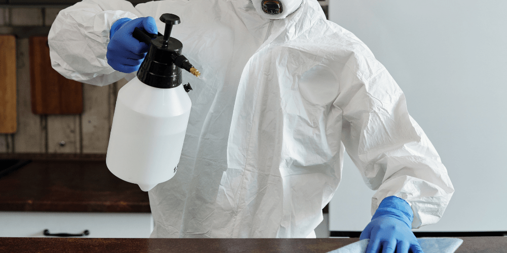 Carpet Cleaners Chair Cleaning Johannesburg 0837358433