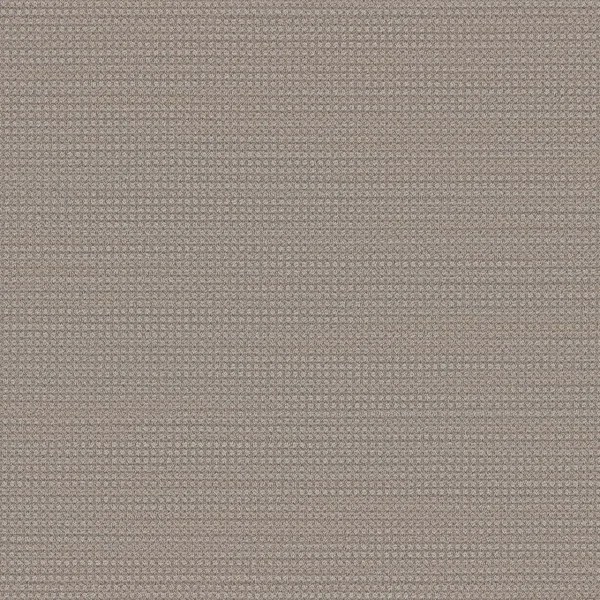 Montreal by Engineered Floors Carpets in Dalton