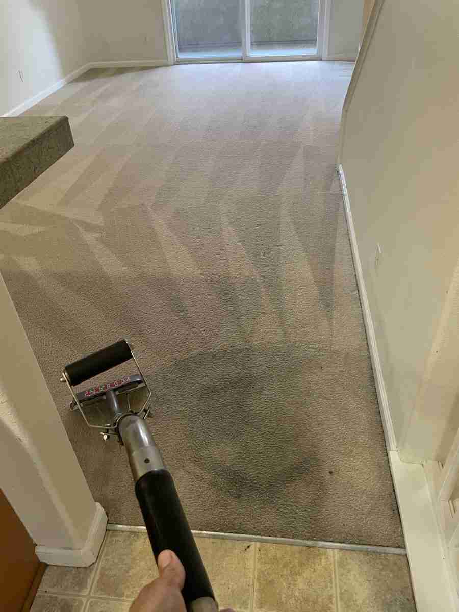 CLEANING EXAMPLES Carpet Tech Solutions Carpet Cleaning