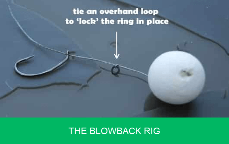 How to Tie The Blowback Rig (Step by step) Carp n Bait