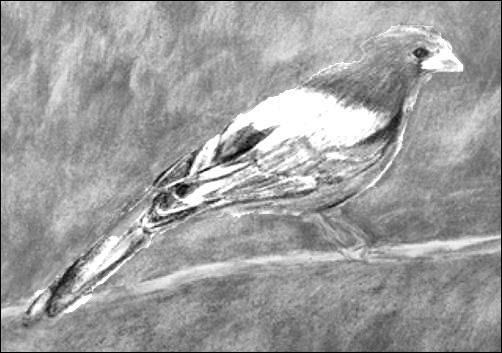 How to Rework a Background - Gray Scale with Contrast