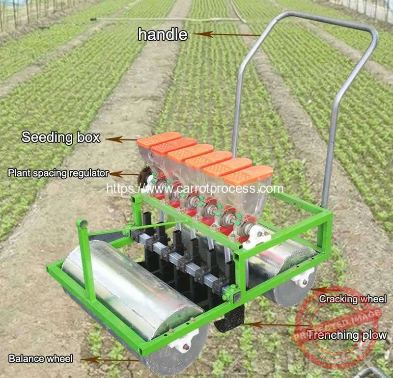 Easy Carrot Seed Planter Ideas