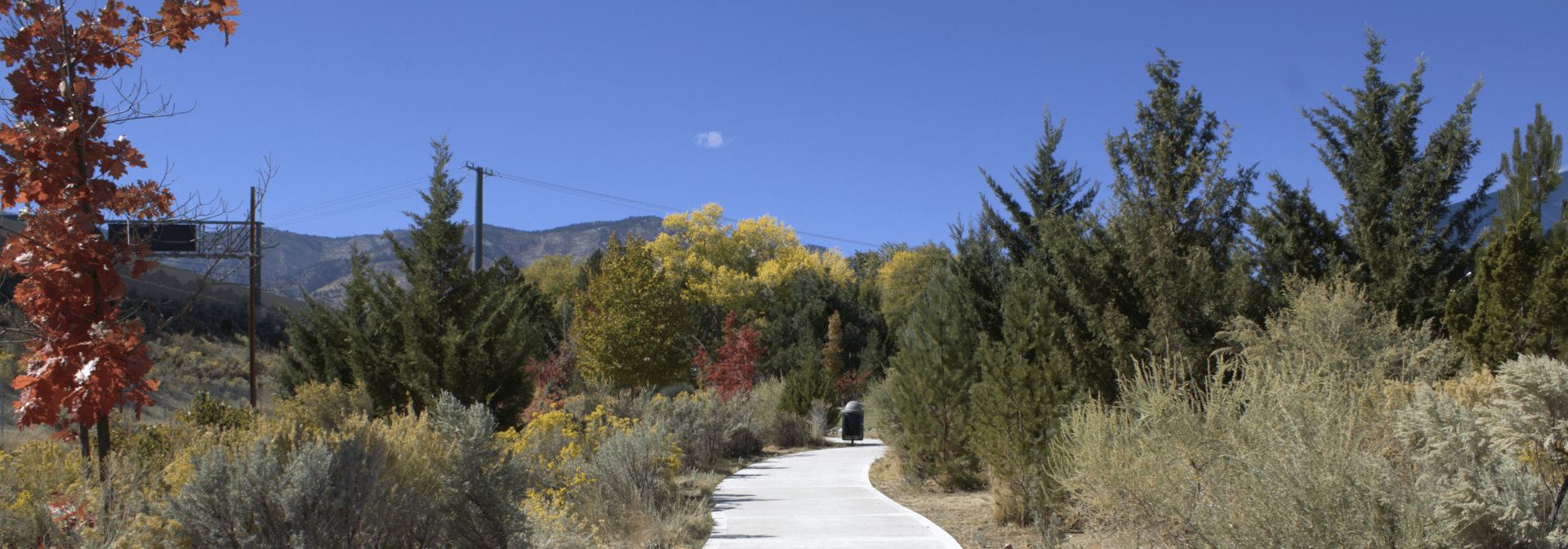 Ronald D. Wilson Memorial Park Carson City