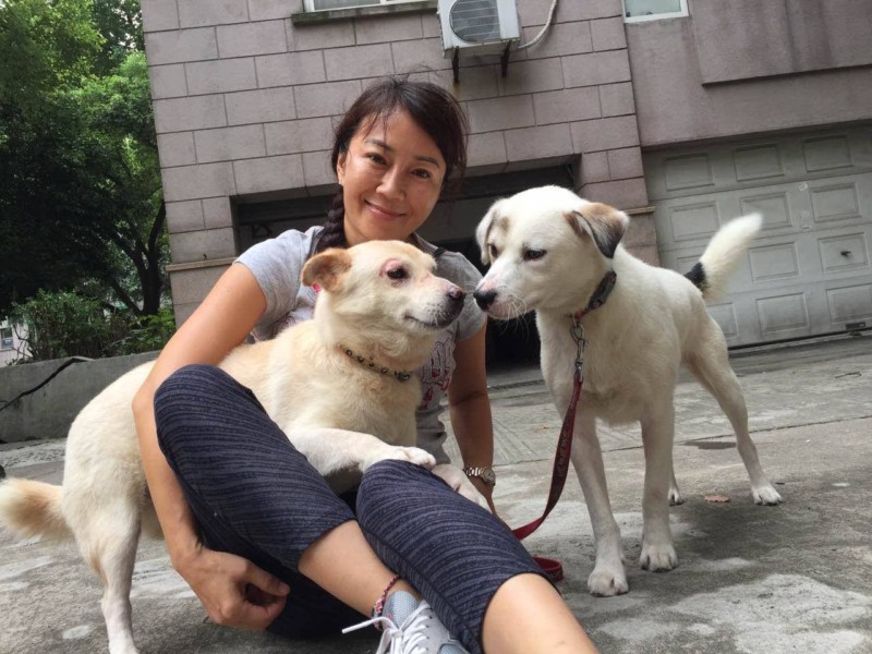 China Dogs Carter's Forever Rescue and Sanctuary