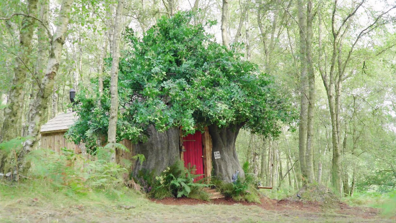 OsoBnB La verdadera casa en el bosque inspirada en Winnie The Pooh