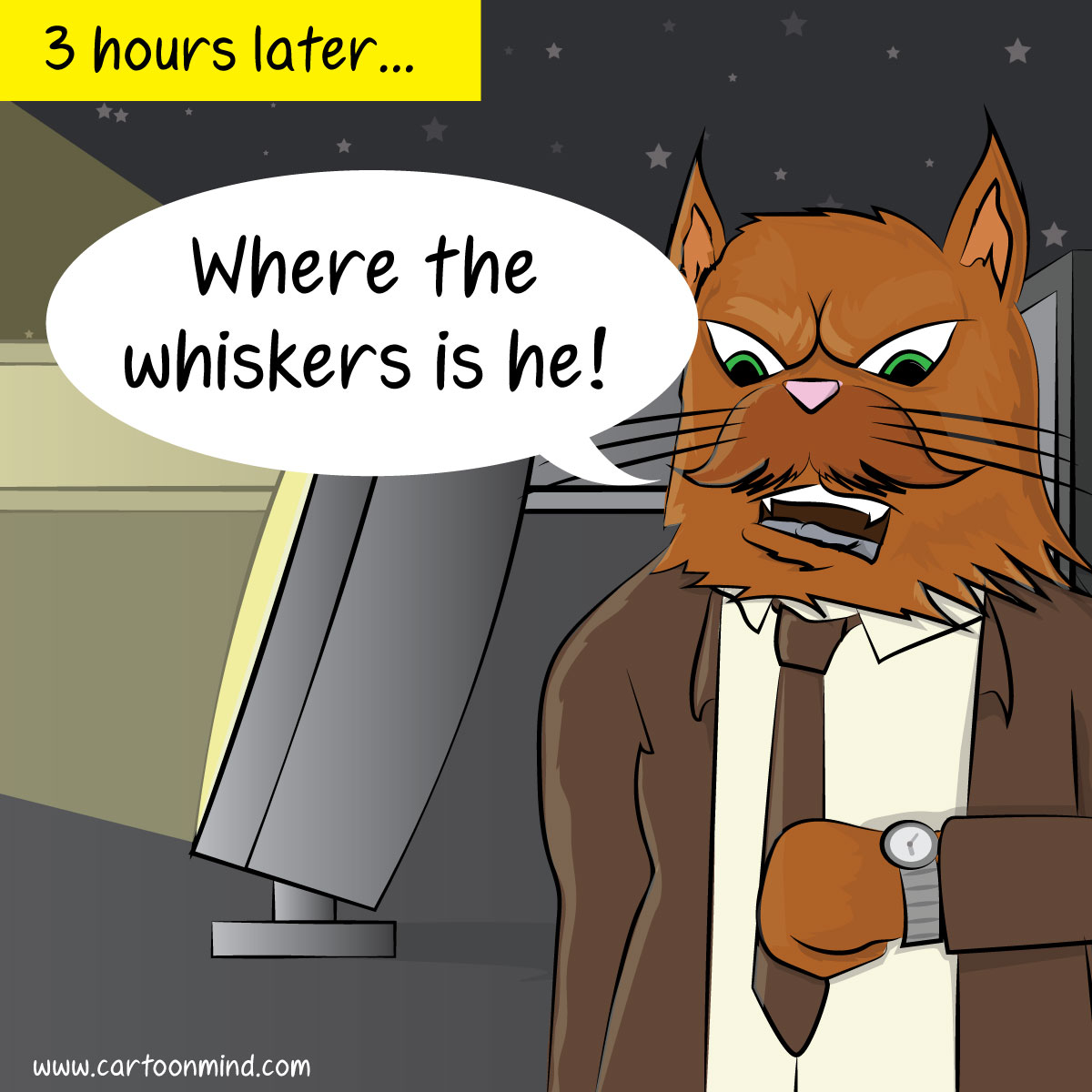 Catman Episode 1 Cat Nap Cartoon Mind