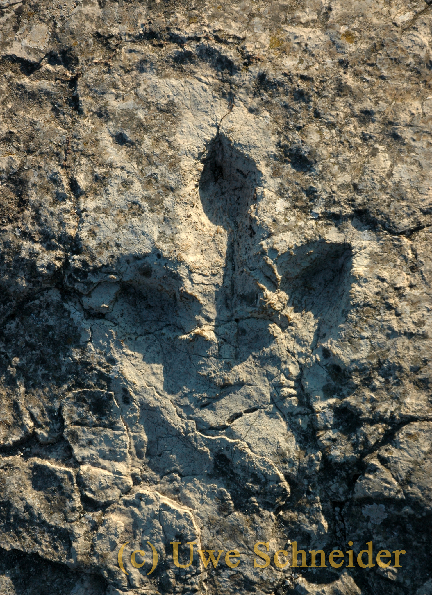 Cart Ruts Eine Annaherung An Ein Archaologisches Mysterium