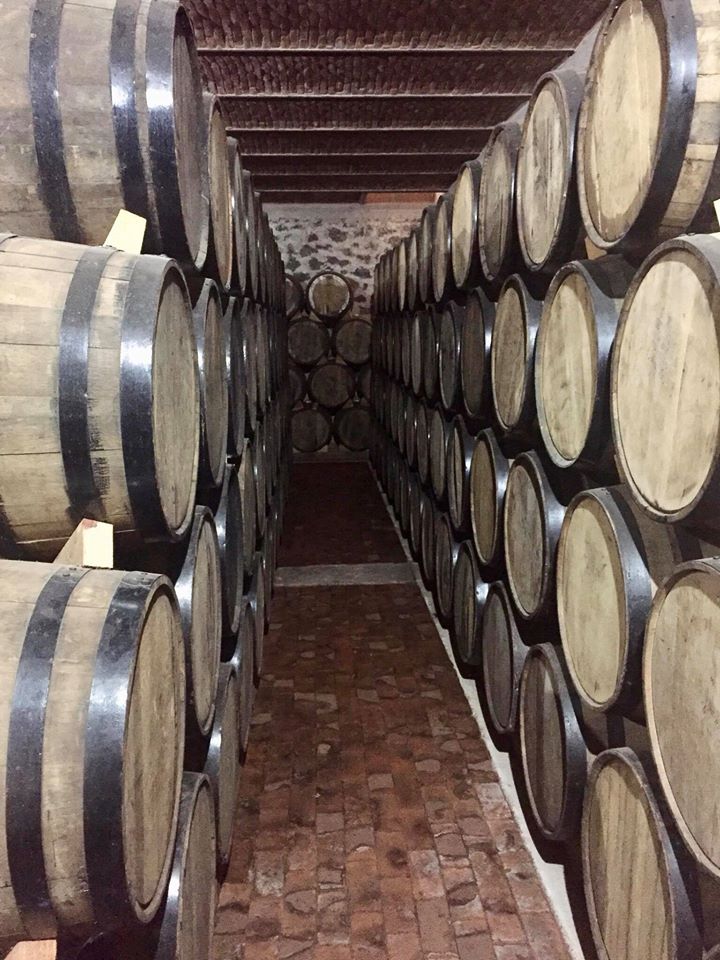 Terralta Extra Anejo 110 Tequila Casa Agave