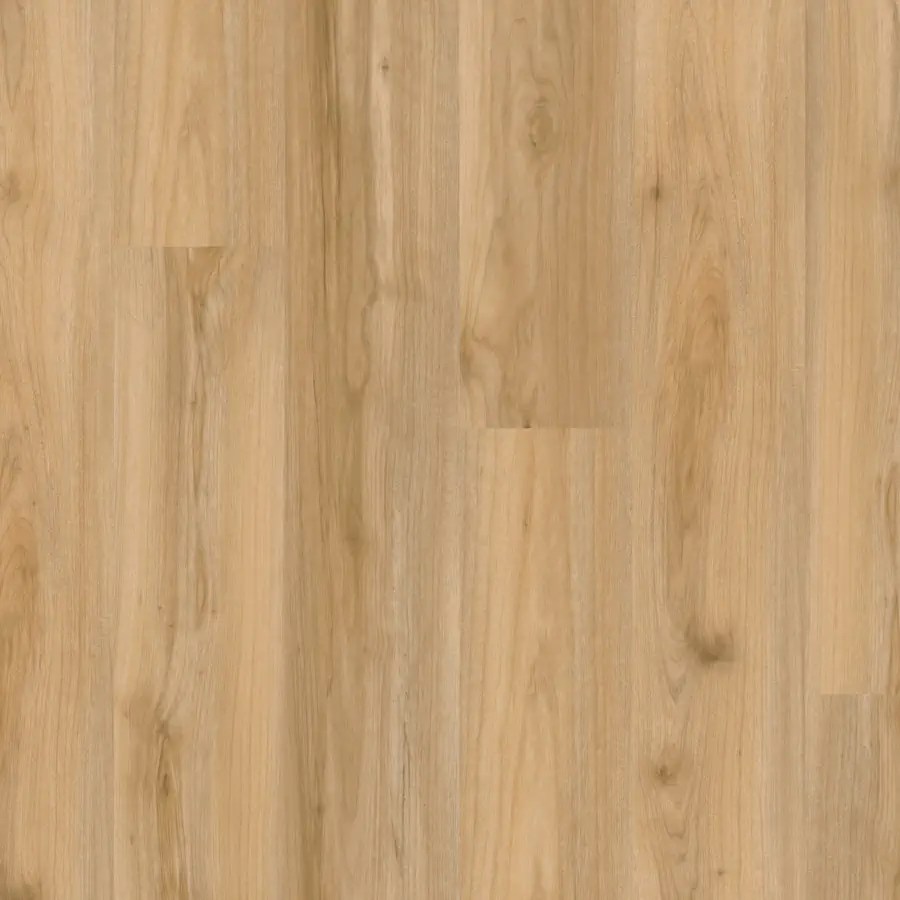 Backbone Pro SPC (Heavy Shade Variation) Casabella Flooring Home