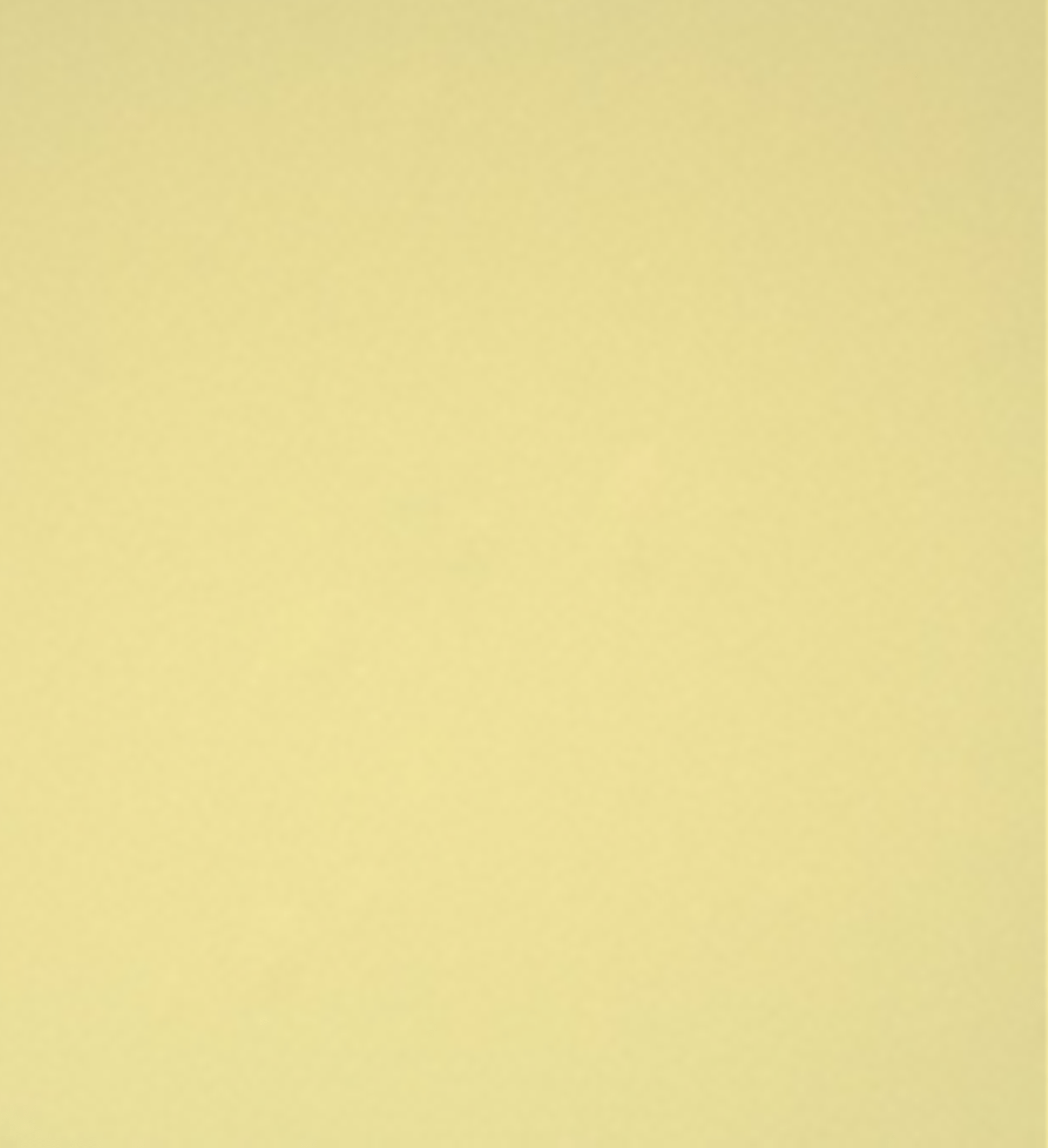 Ref. 48941 - Lef