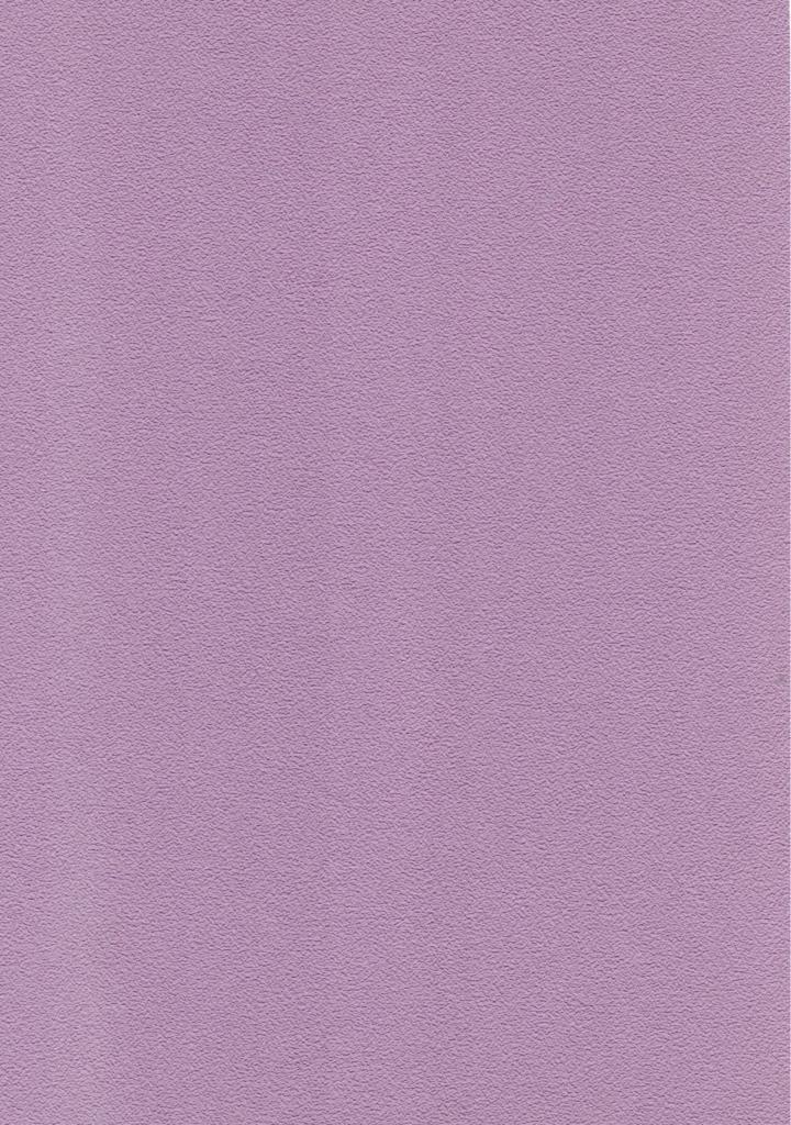 6041