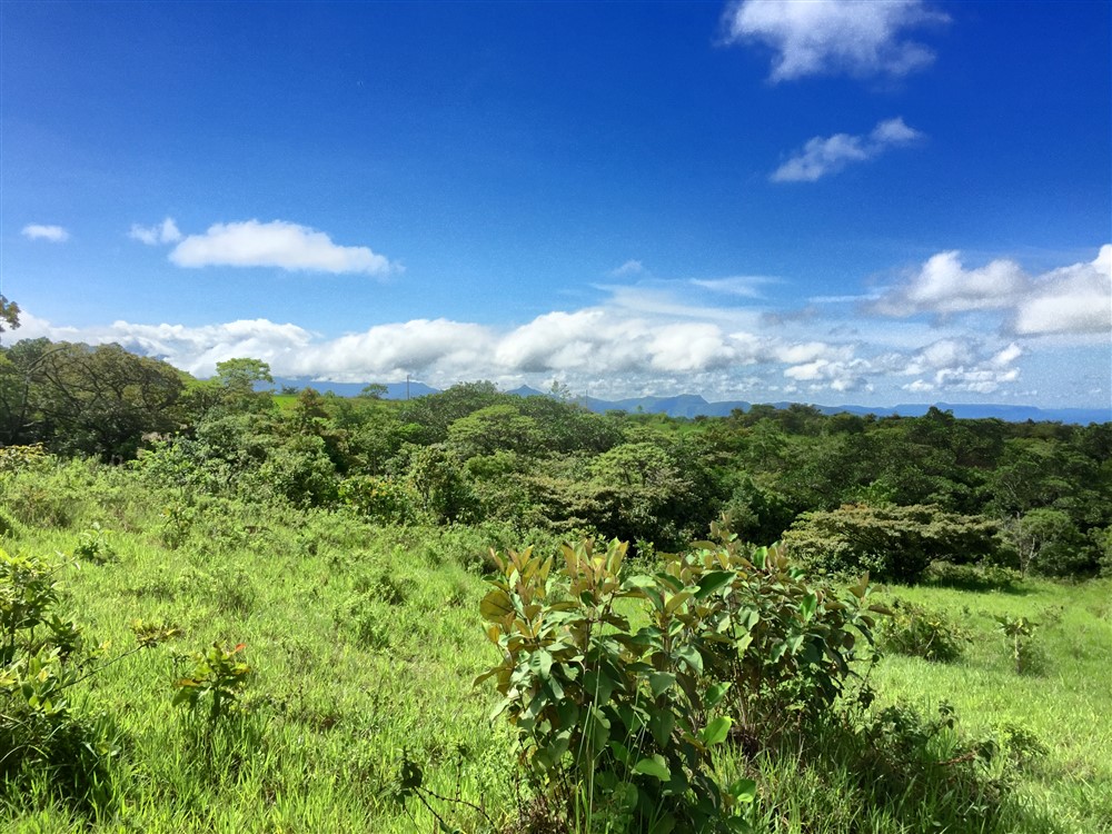 22 Plus Acres Near Boquete, Panama for an Incredible Price Boquete