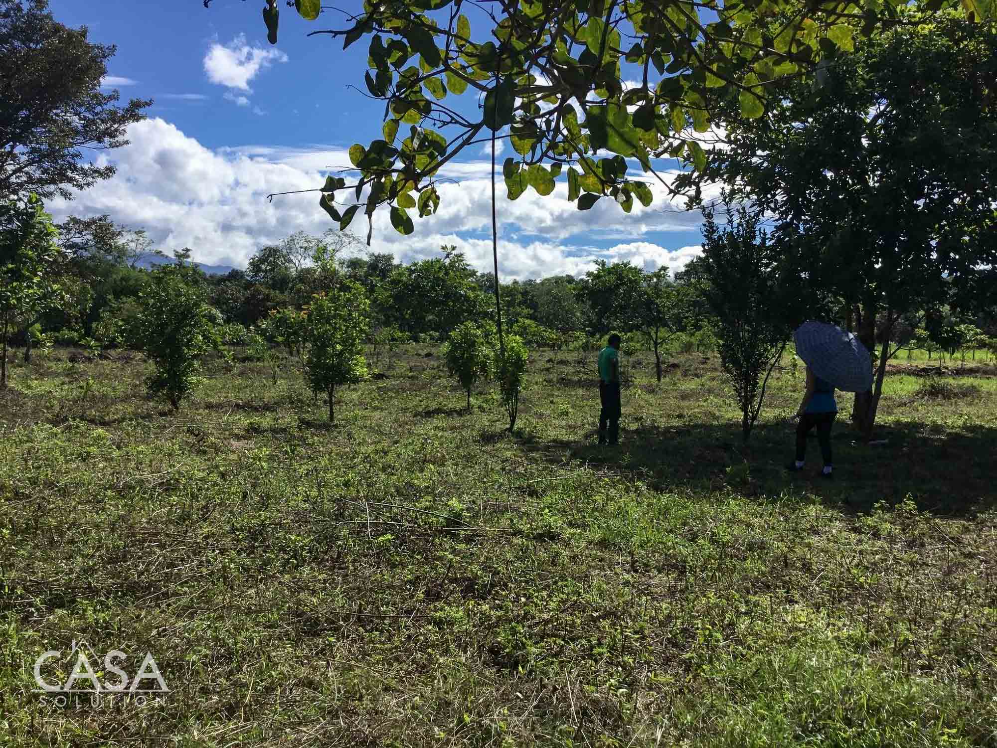 Macano, Panama 1.3 Hectare Property for Sale near River Ranch Macano