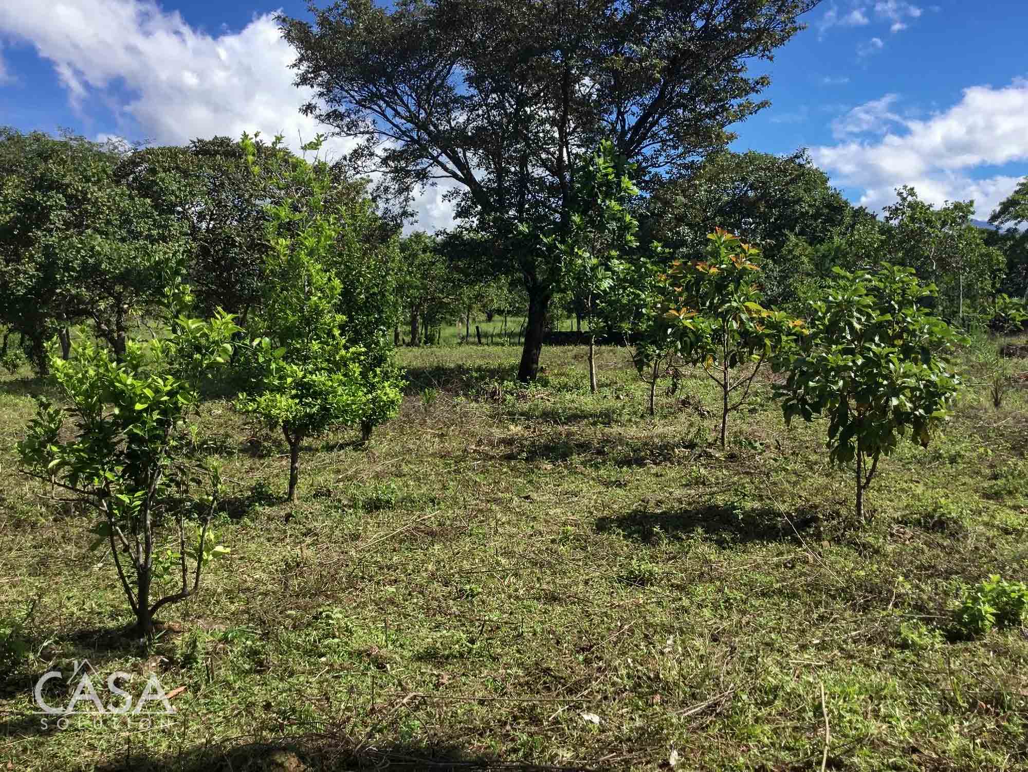 Macano, Panama 1.3 Hectare Property for Sale near River Ranch Macano