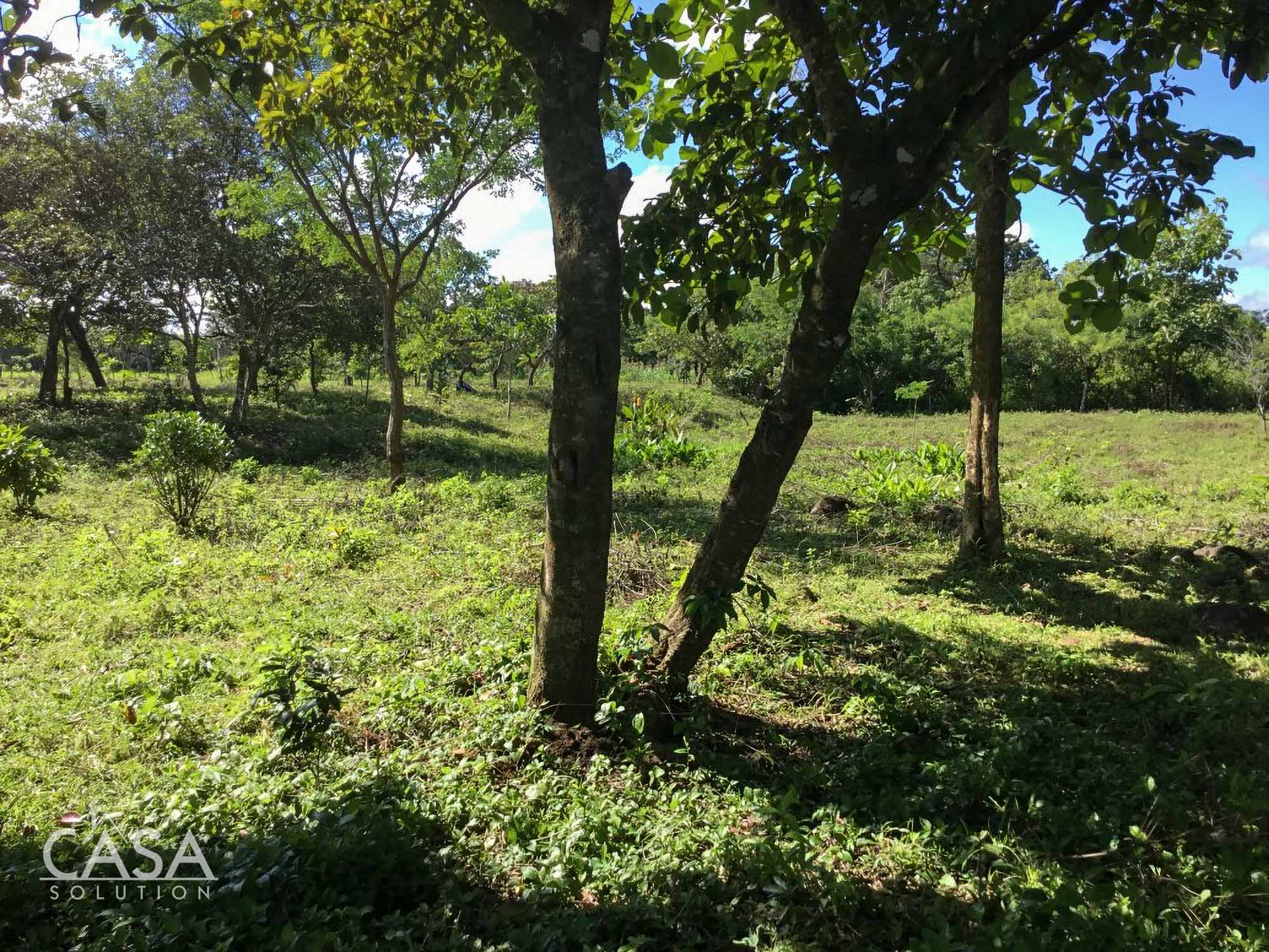 Macano, Panama 1.3 Hectare Property for Sale near River Ranch Macano