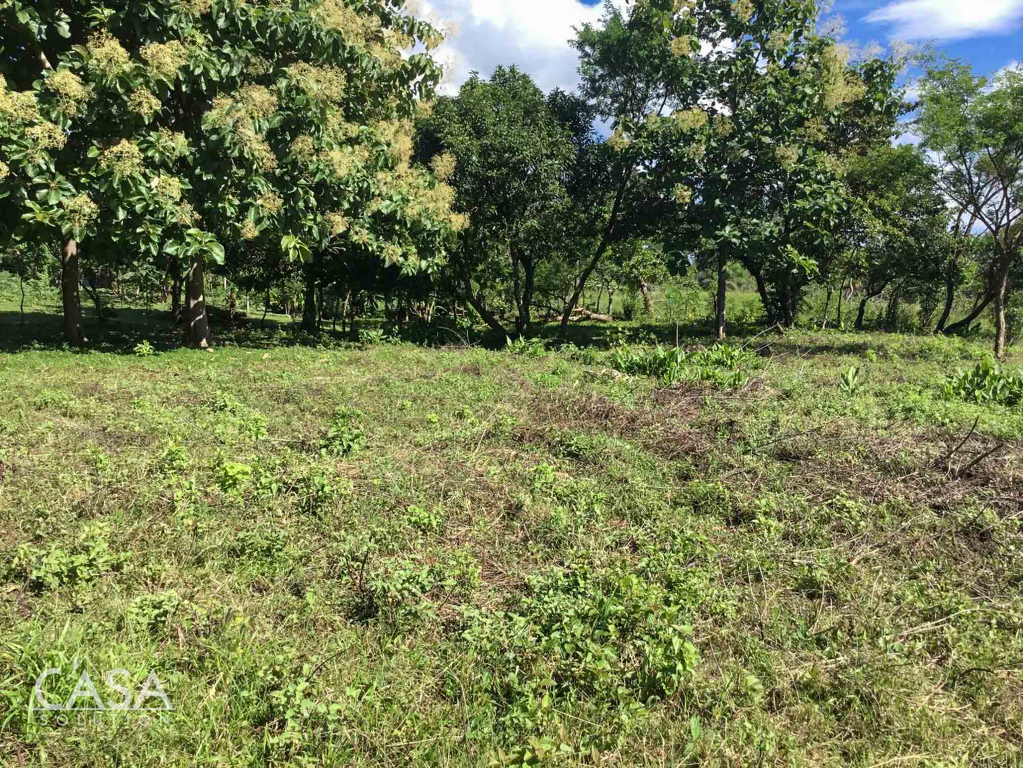 Macano, Panama 1.3 Hectare Property for Sale near River Ranch Macano