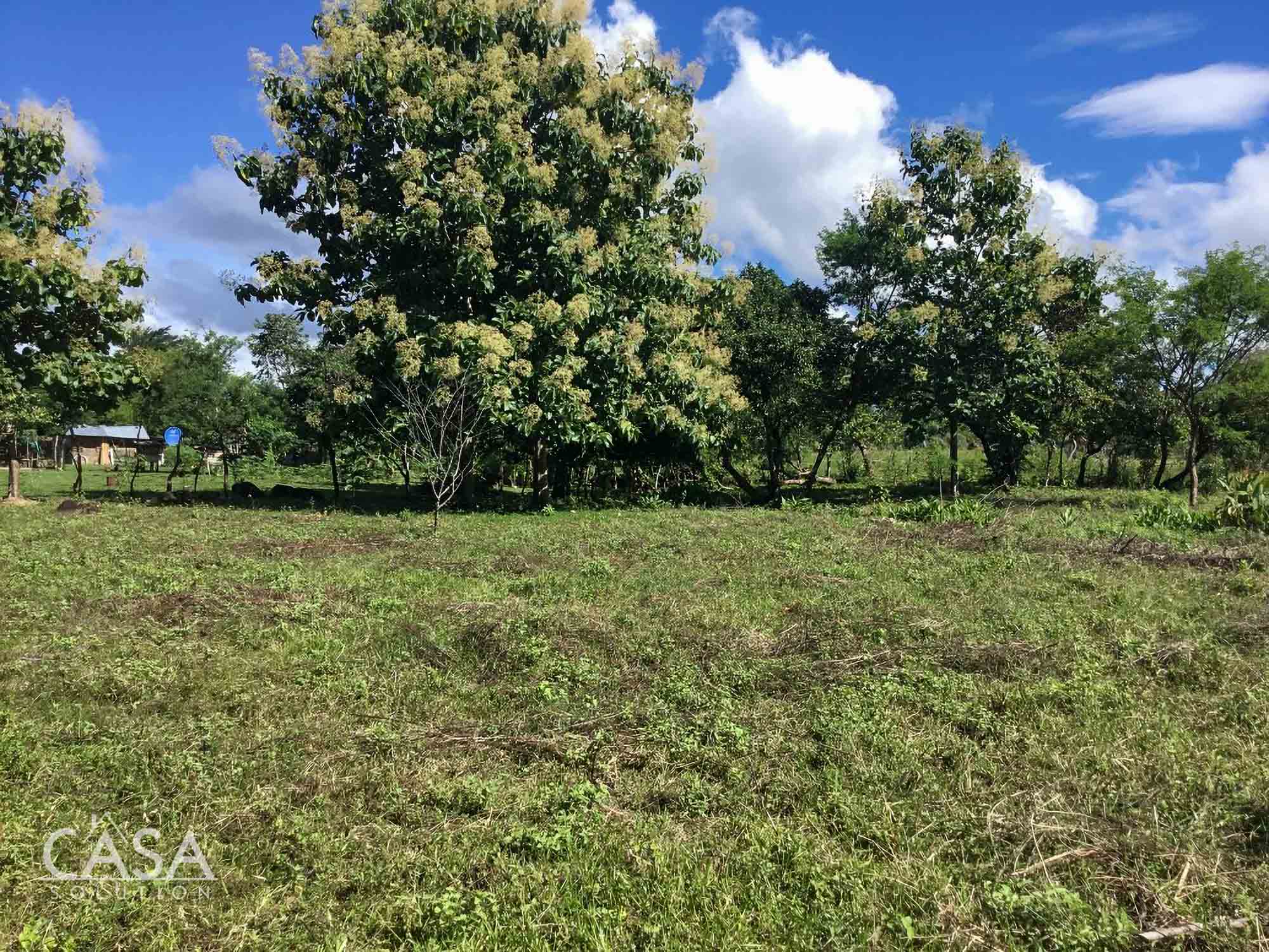 Macano, Panama 1.3 Hectare Property for Sale near River Ranch Macano