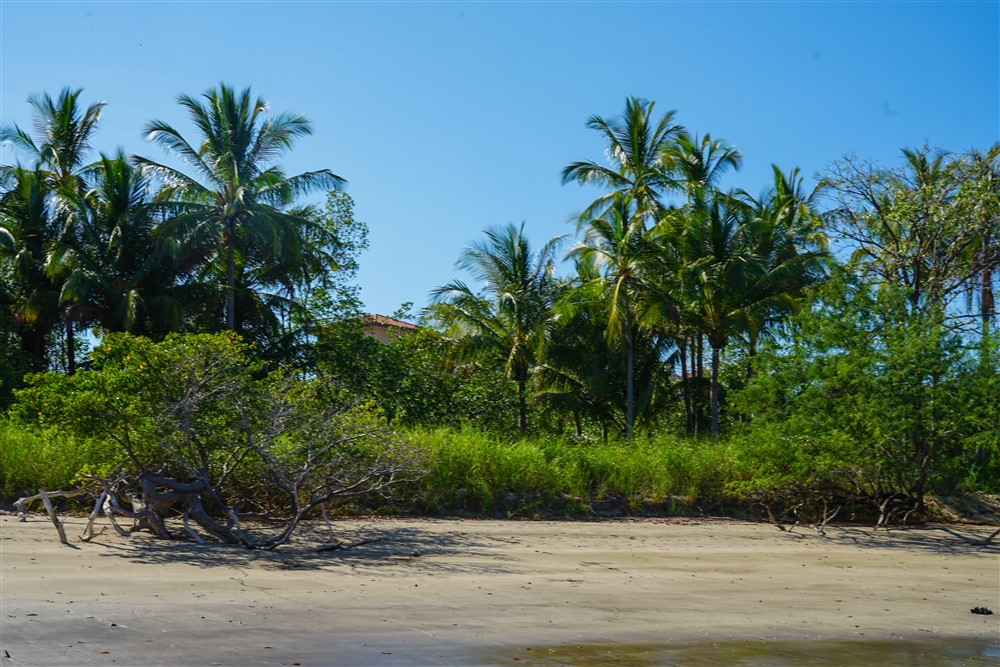 Under Contract Boca Chica, Panama Large Oceanfront Condominium Villas