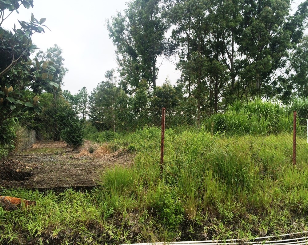 Sold by Casa Solution Land for Sale Near Palmira Entrance in Alto