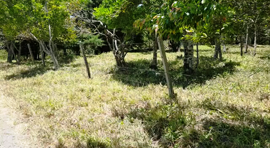 View Lot for Sale in Jaramillo, Boquete, Panama Boquete Panama Real