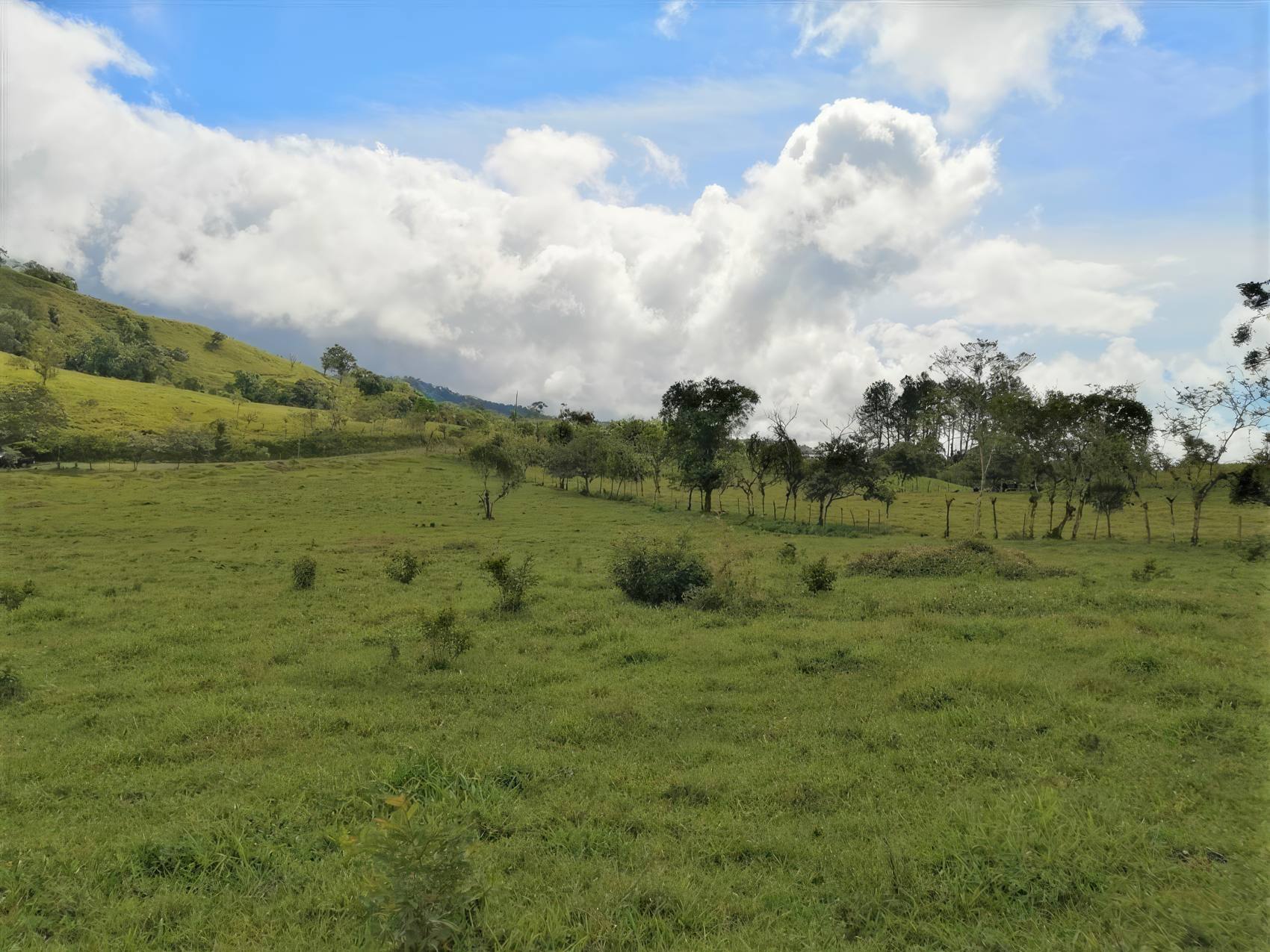 Cordillera Chiriqui Houses & Properties for Sale Casa Solution