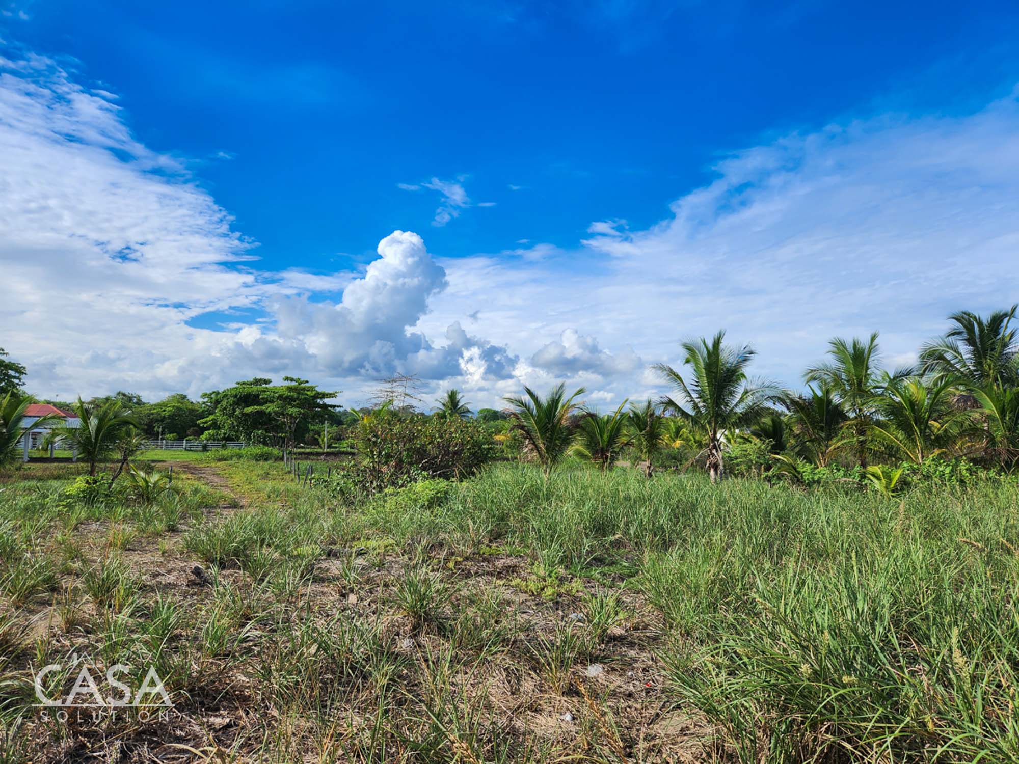 Beachfront Paradise Lot For Sale in Las Lajas, Chiriqui Boquete