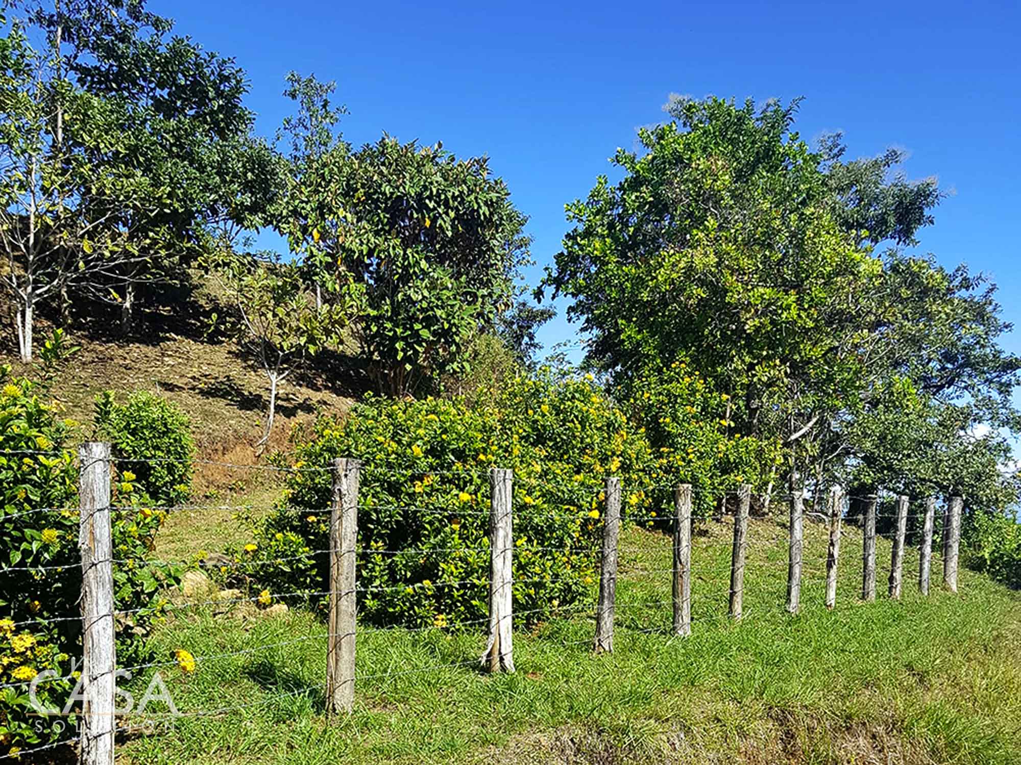 Captivating Vistas Two Breathtaking Lots with 360Degree Views for