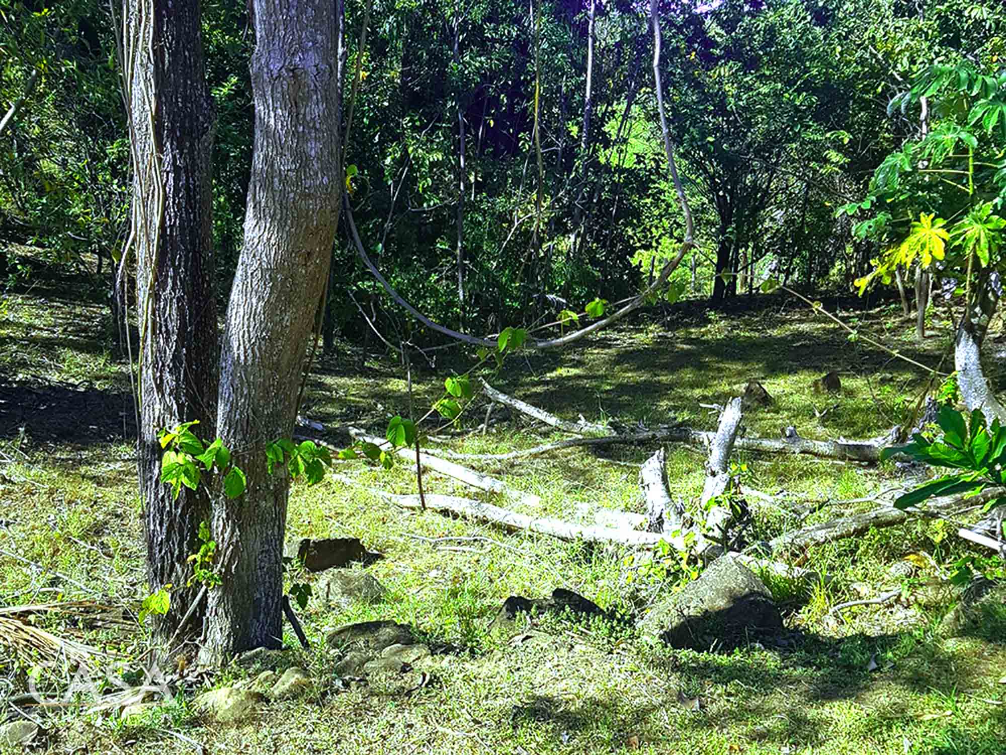 Captivating Vistas Two Breathtaking Lots with 360Degree Views for