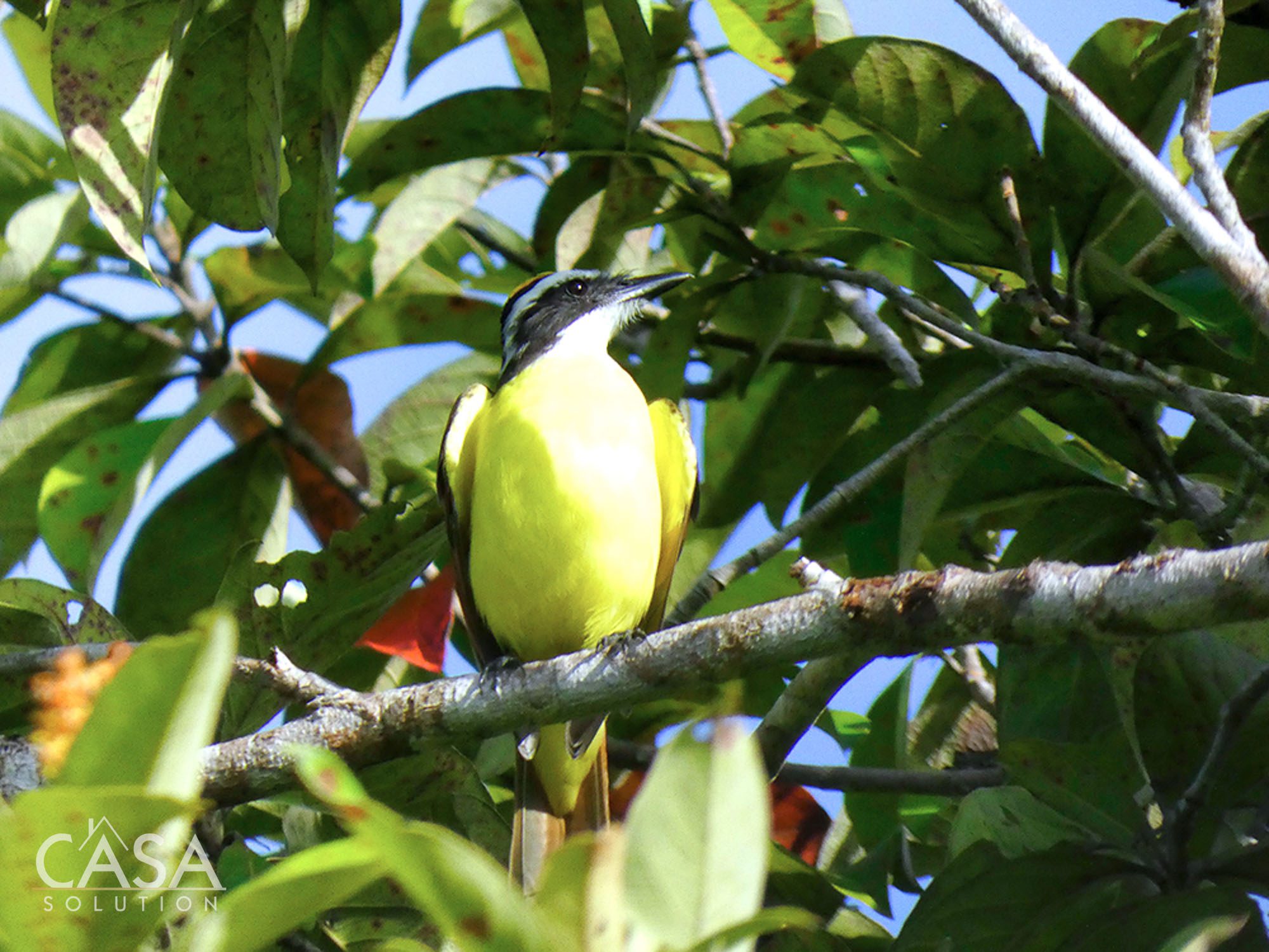 Captivating Vistas Two Breathtaking Lots with 360Degree Views for