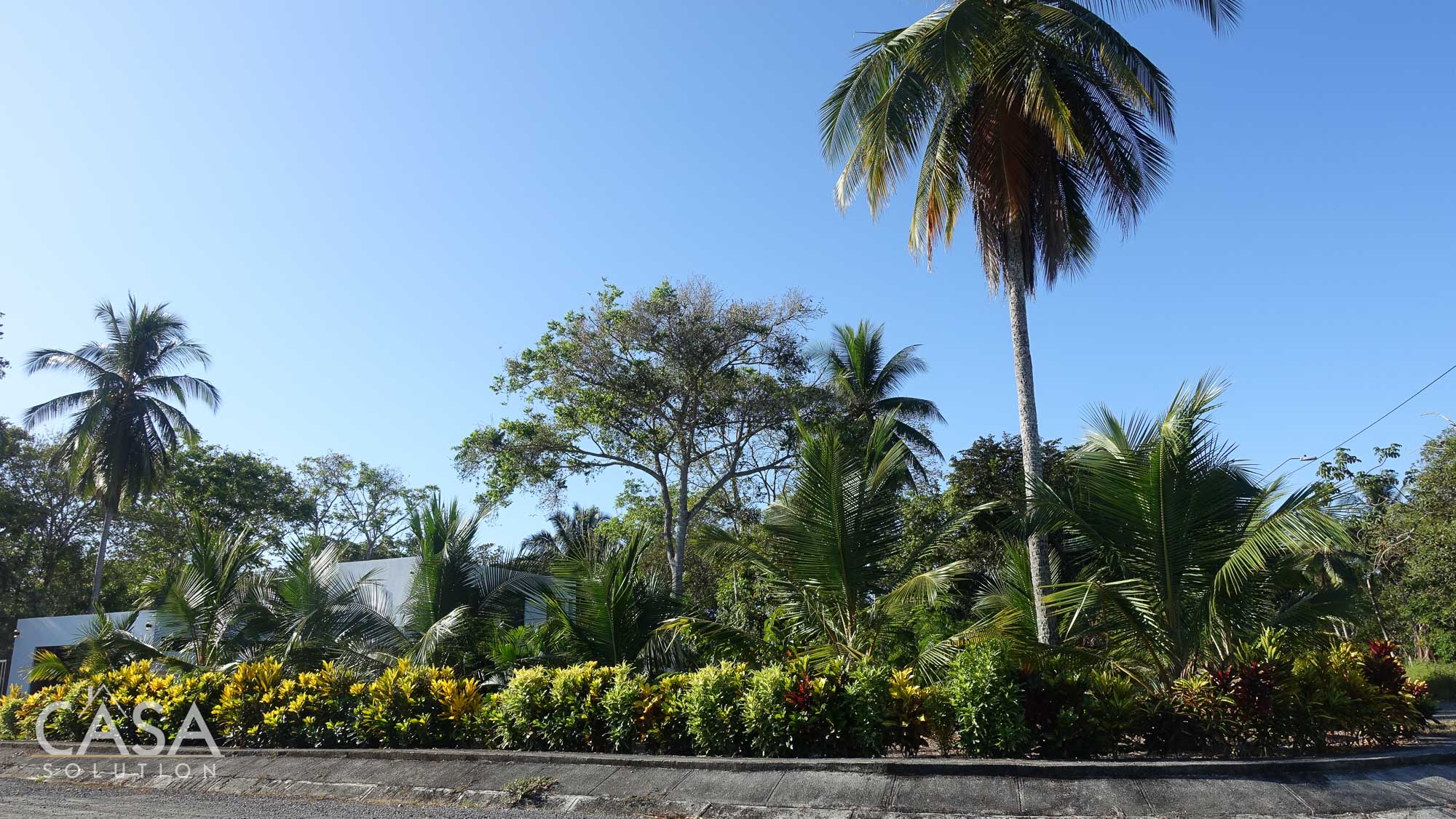 Rare Gem 2,111 sqm Flat Lot with Stunning Ocean Views For Sale in Coco Beach, Puerto Armuelles