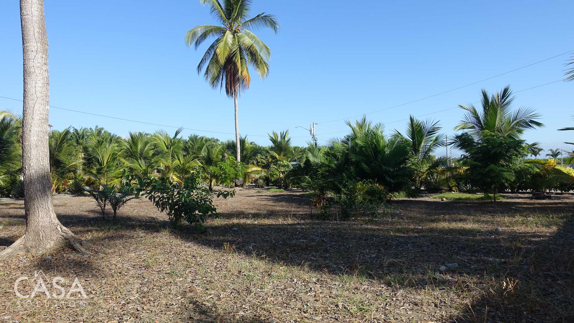 Rare Gem 2,111 sqm Flat Lot with Stunning Ocean Views For Sale in Coco