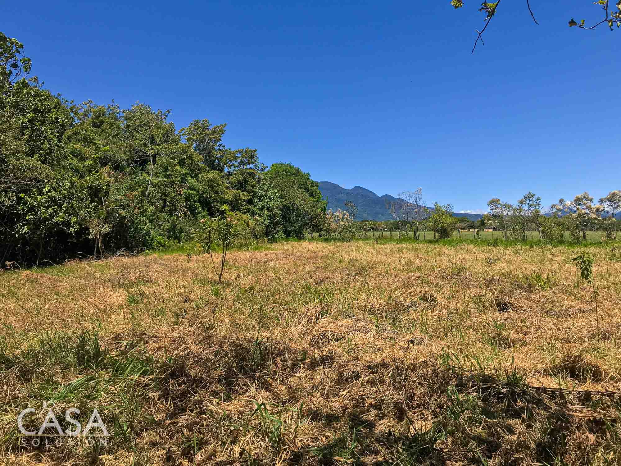 Scenic Lot with Volcán Barú Backdrop for Sale in Villa Venus