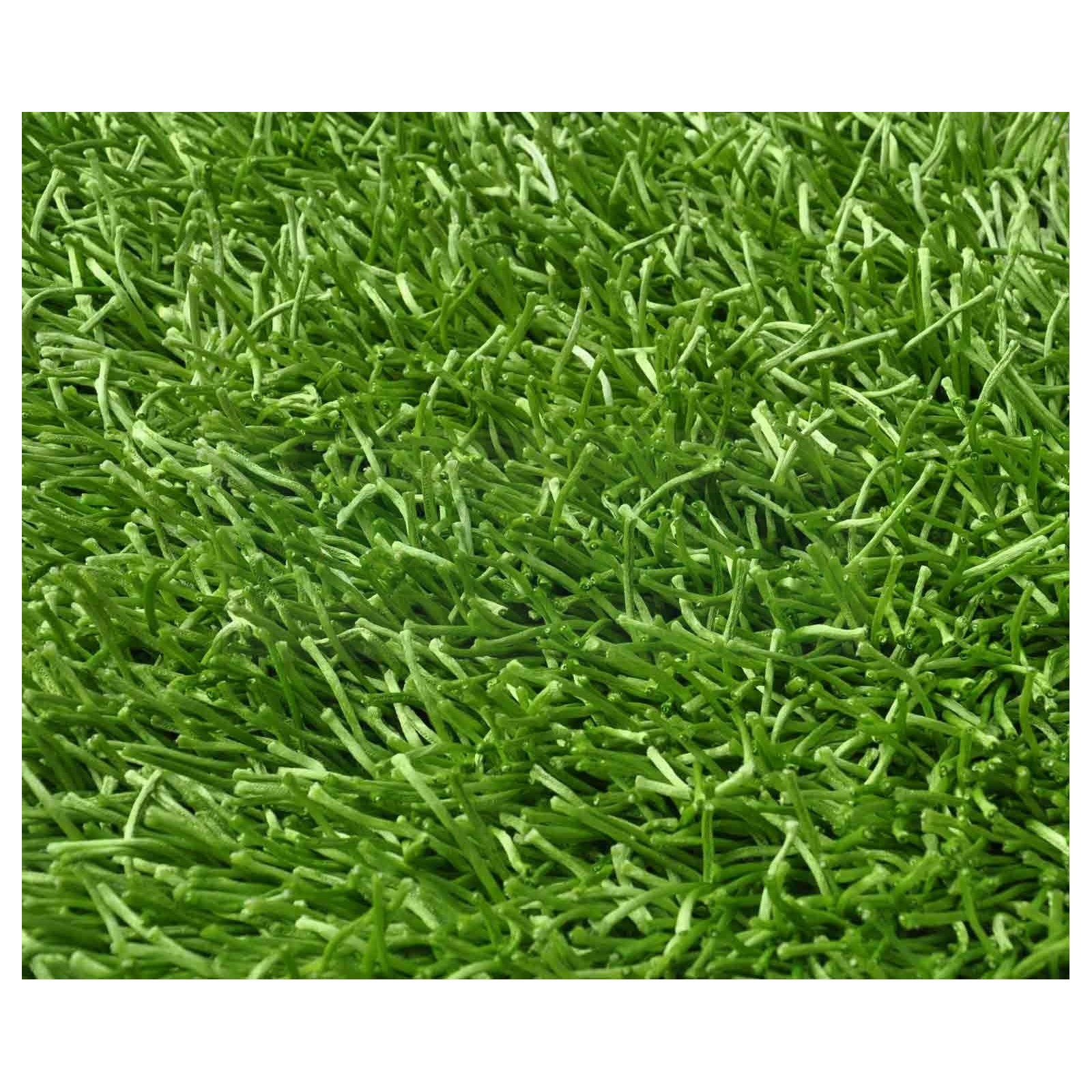 Shaggy Teppich cm 50 X 80 eBay
