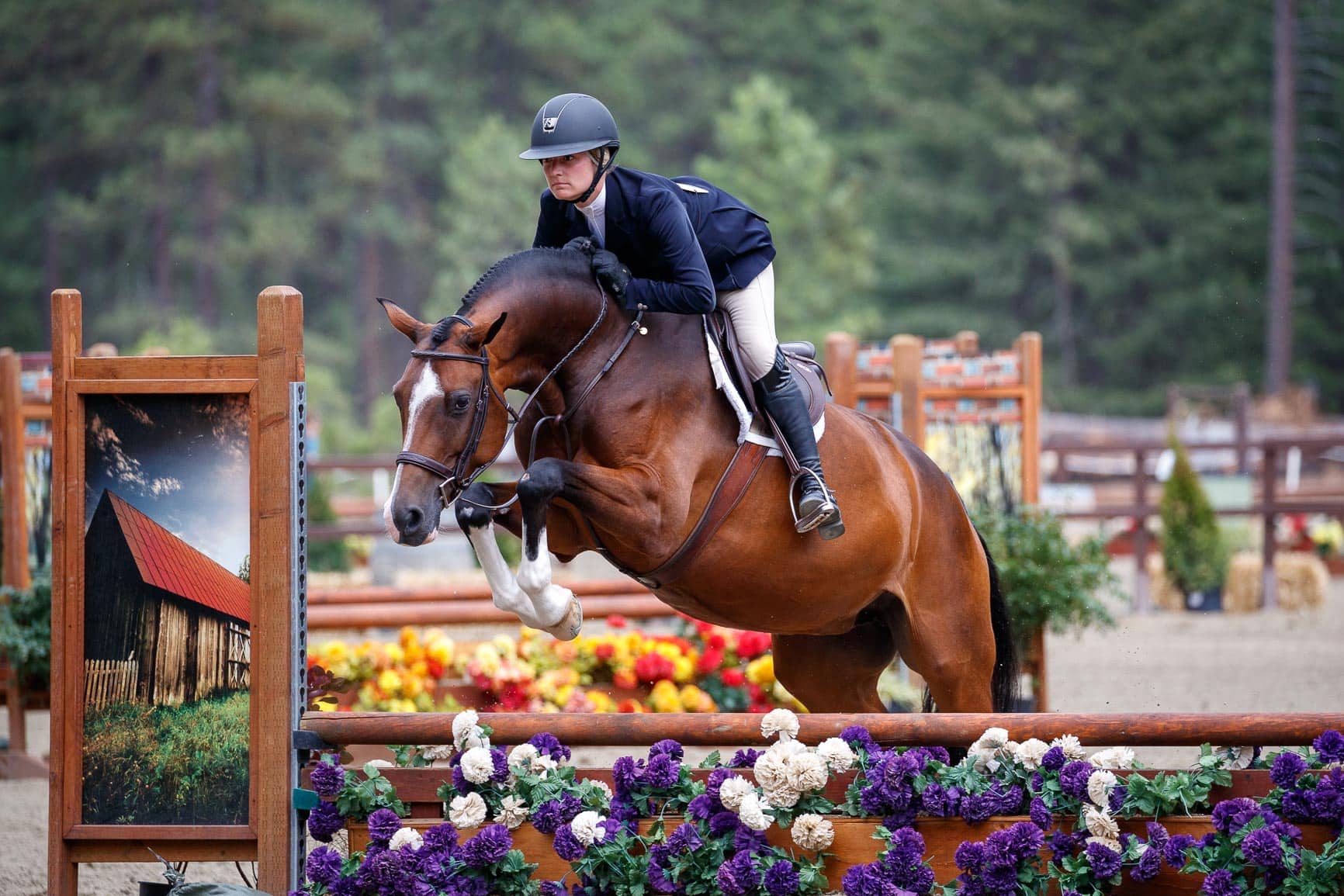 Crest Open On Christmas 2024 Seattle Wa CANCELLED 2020 Pacific Crest Open Cascade Horse Shows