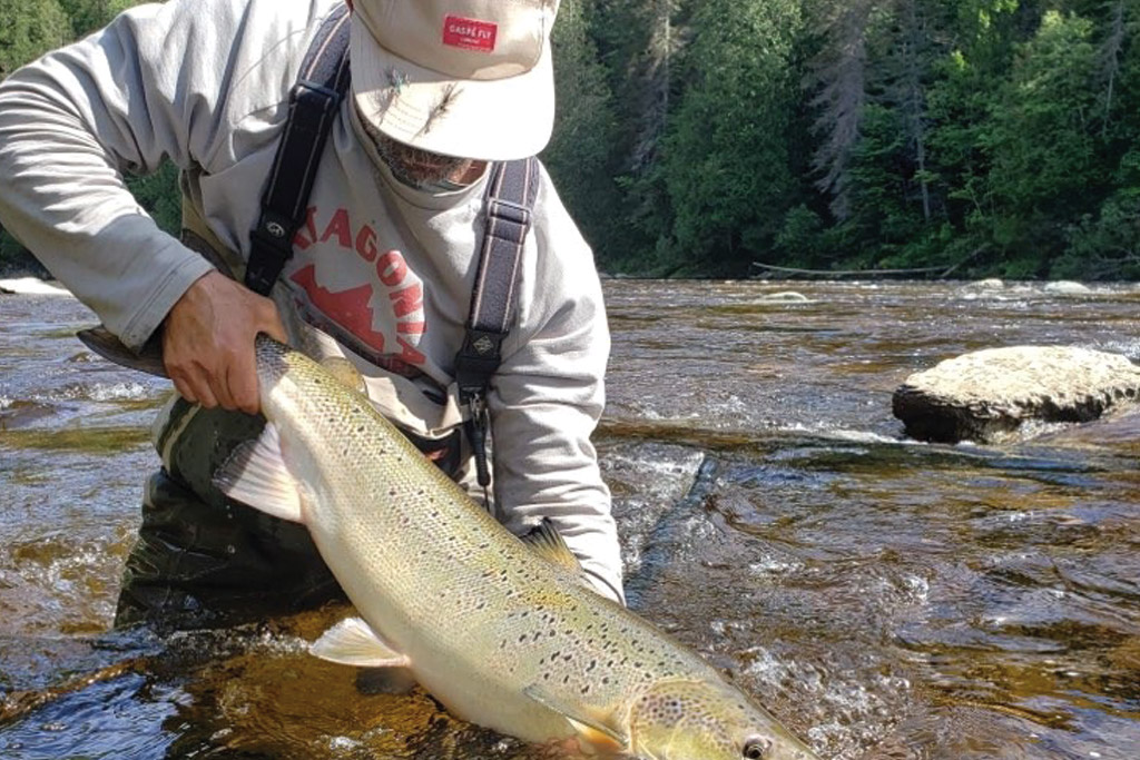 Homepage Cascapedia River Society