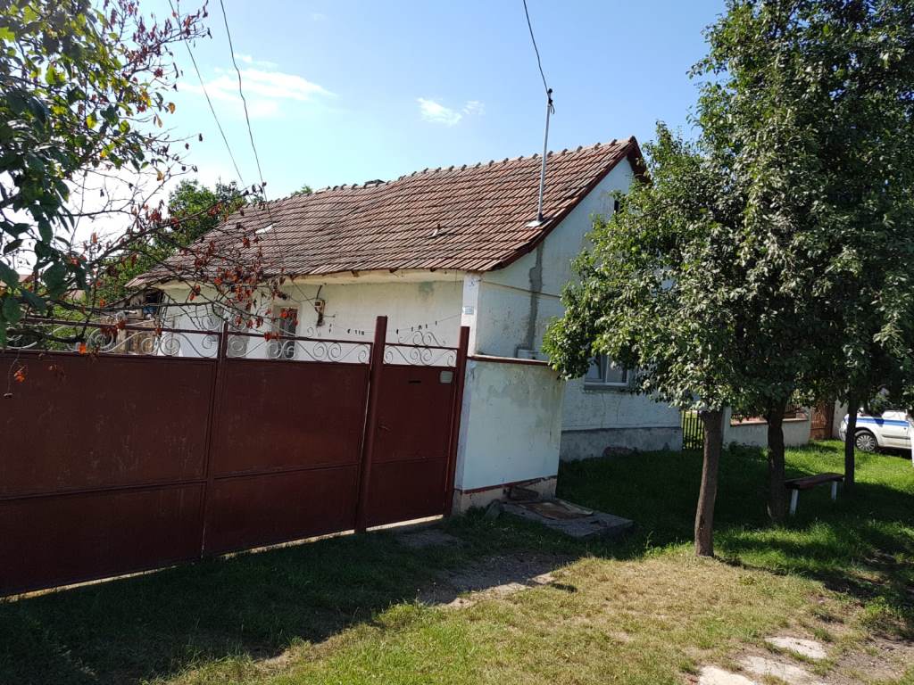 CaseArad.ro Casa de vanzare in Loc. Zadareni