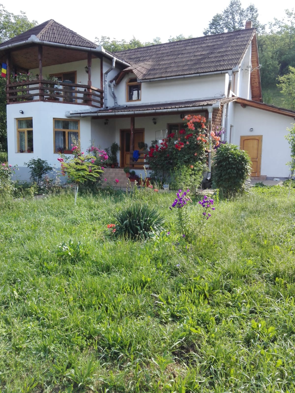 CaseArad.ro Casa de vanzare in Petris